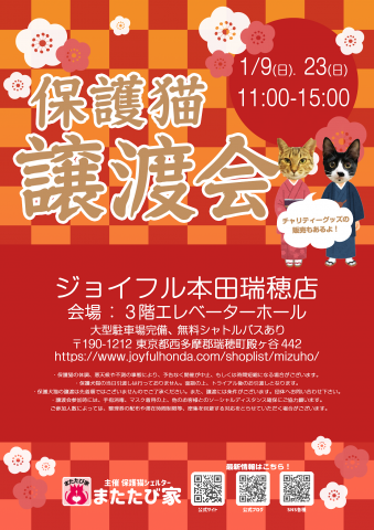 保護猫❤️譲渡会 in ジョイフル本田瑞穂店