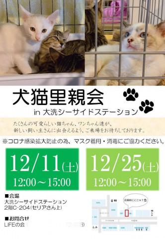 犬猫里親会in大洗シーサイドステーション