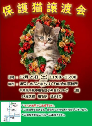 稲ねこ　保護猫譲渡会