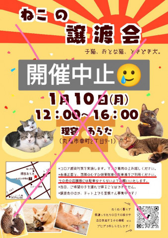 ※※中止※※猫の譲渡会(子猫 おとな猫 ときどき犬)