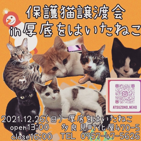 保護猫の譲渡会　in   厚底をはいたねこ