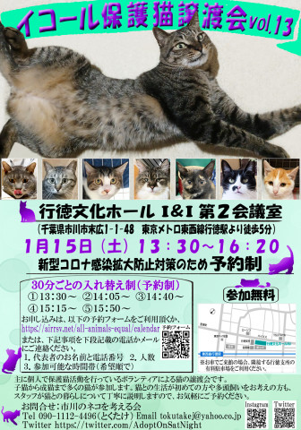 【千葉県市川市】イコール保護猫譲渡会vol.13