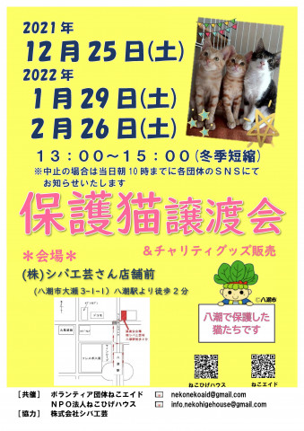 保護猫譲渡会