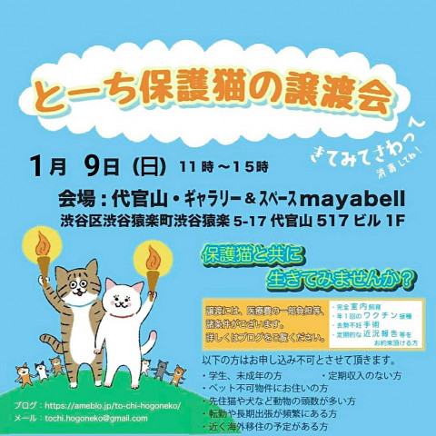 とーち保護猫の譲渡会