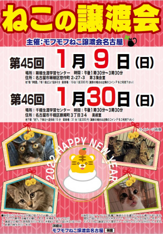 猫の譲渡会　in　名古屋市千種生涯学習センター