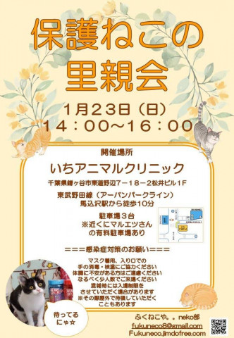 鎌ケ谷初開催♪ふくねこや。。保護ねこ里親会