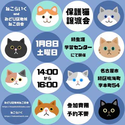 ねこの譲渡会／緑生涯学習センター