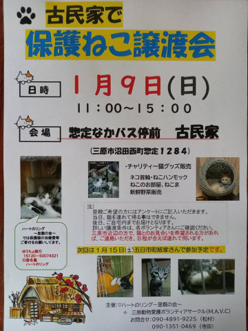 保護猫譲渡会