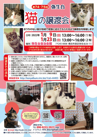 〜横浜市泉区〜 猫の譲渡会@弥生台