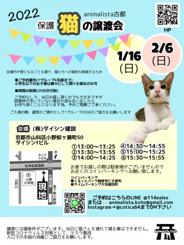 animalista古都　保護猫の譲渡会