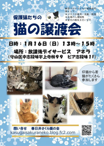 春日井さくら猫の会at アネラ