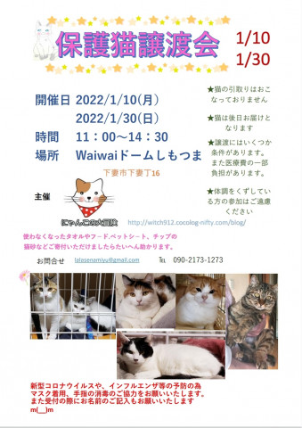 保護猫譲渡会　waiwaiドームしもつま1/10