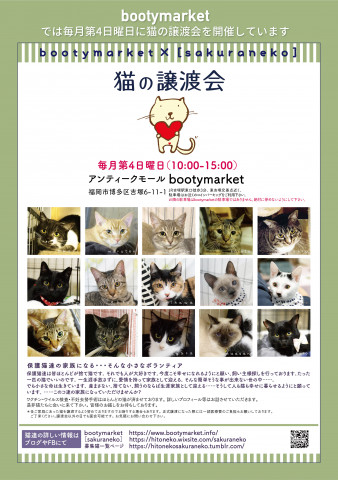 Bootymarket × [sakuraneko] 猫の譲渡会