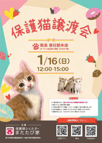 保護猫の譲渡会 島忠春日部本店 猫の譲渡会掲示板 ネコジルシ 保護猫の譲渡会 島忠春日部本店 猫の譲渡会掲示板 ネコジルシ