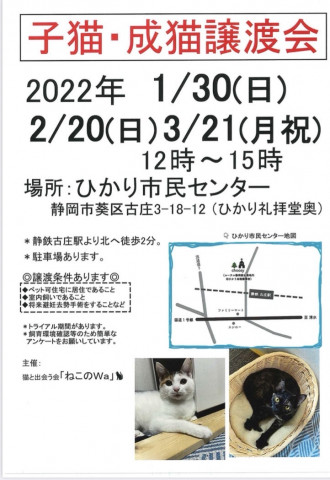 ねこのWa猫譲渡会　静岡市葵区