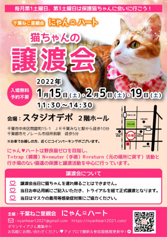 千葉ねこ里親会　にゃんハート主催　保護猫譲渡会