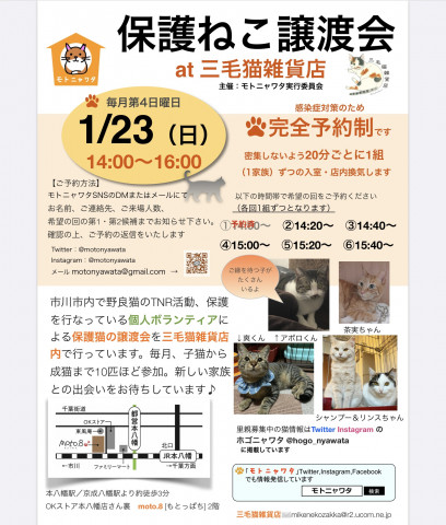 保護ねこ譲渡会 at 三毛猫雑貨店