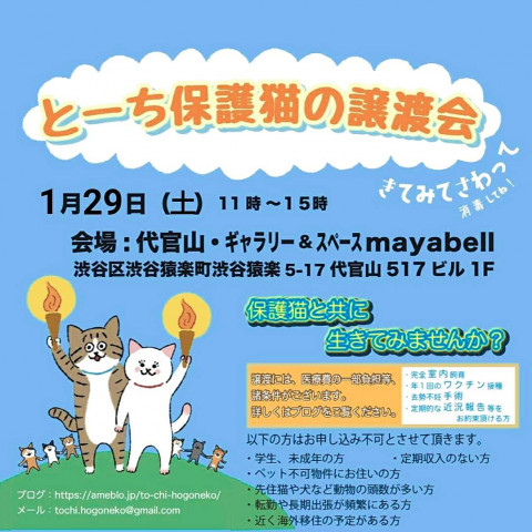 とーち保護猫の譲渡会