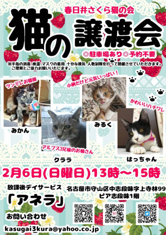 春日井さくら猫の会at アネラ　6日は中止になりました