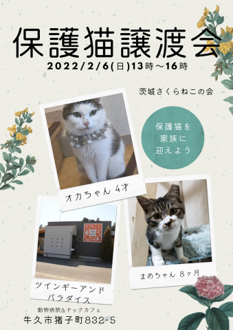 ツイパラ保護猫譲渡会