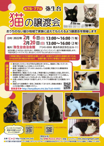 弥生台　猫の譲渡会