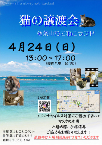 葉山ねこねこランド保護猫譲渡会