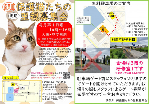 南泉州 保護猫たちの里親募集会