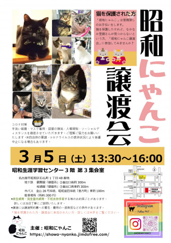 昭和にゃんこ譲渡会　in　名古屋市昭和区