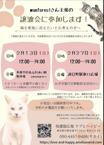 ラブとハッピー譲渡会