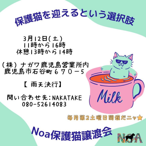 Noa保護猫譲渡会