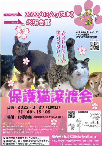 かわいいとしか言わせない保護猫譲渡会