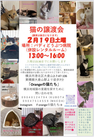 保護ねこの譲渡会inよこはま