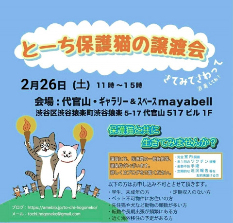 とーち保護猫の譲渡会