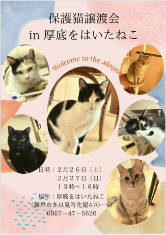 保護猫譲渡会　in  厚底をはいたねこ