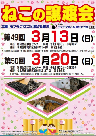 猫の譲渡会　in　名古屋市瑞穂生涯学習センター