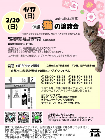 animalista古都　保護猫の譲渡会