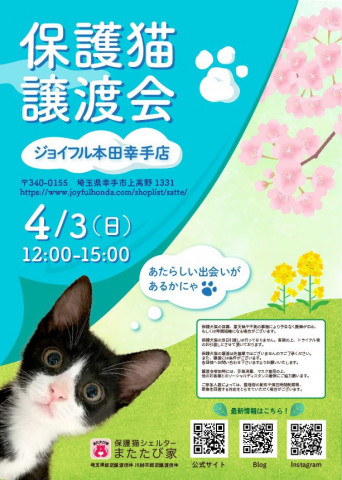 保護猫 譲渡会 In ジョイフル本田幸手店 猫の譲渡会掲示板 ネコジルシ 保護猫 譲渡会 In ジョイフル本田幸手店 猫の譲渡会掲示板 ネコジルシ