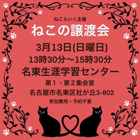 名古屋市名東区／ねこらいく譲渡会