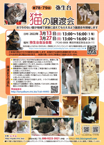 弥生台　猫の譲渡会