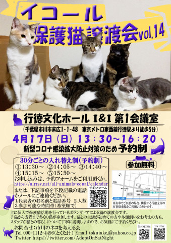 【千葉県市川市】イコール保護猫譲渡会vol.14