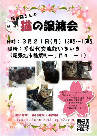 春日井さくら猫の会at いきいき