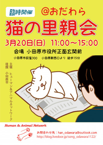 【臨時開催決定】保護猫の里親会@小田原市役所