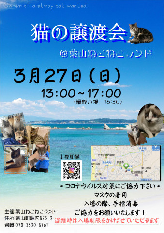 葉山ねこねこランド譲渡会