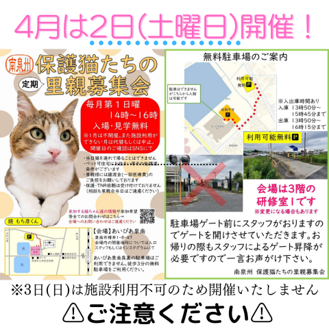 南泉州 保護猫たちの里親募集会