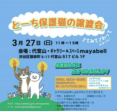 とーち保護猫の譲渡会