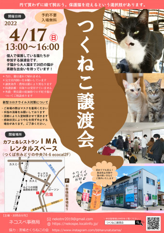 つくねこ譲渡会