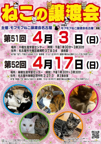 猫の譲渡会　in　名古屋市千種生涯学習センター