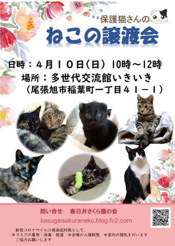 春日井さくら猫の会at いきいき