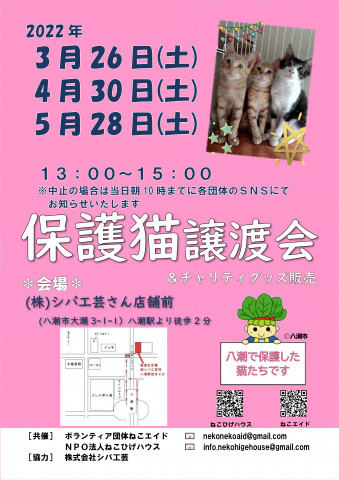 保護猫譲渡会