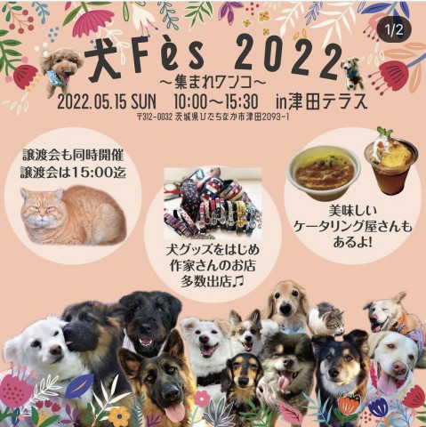 犬Fès 2022 ～集まれワンコ～